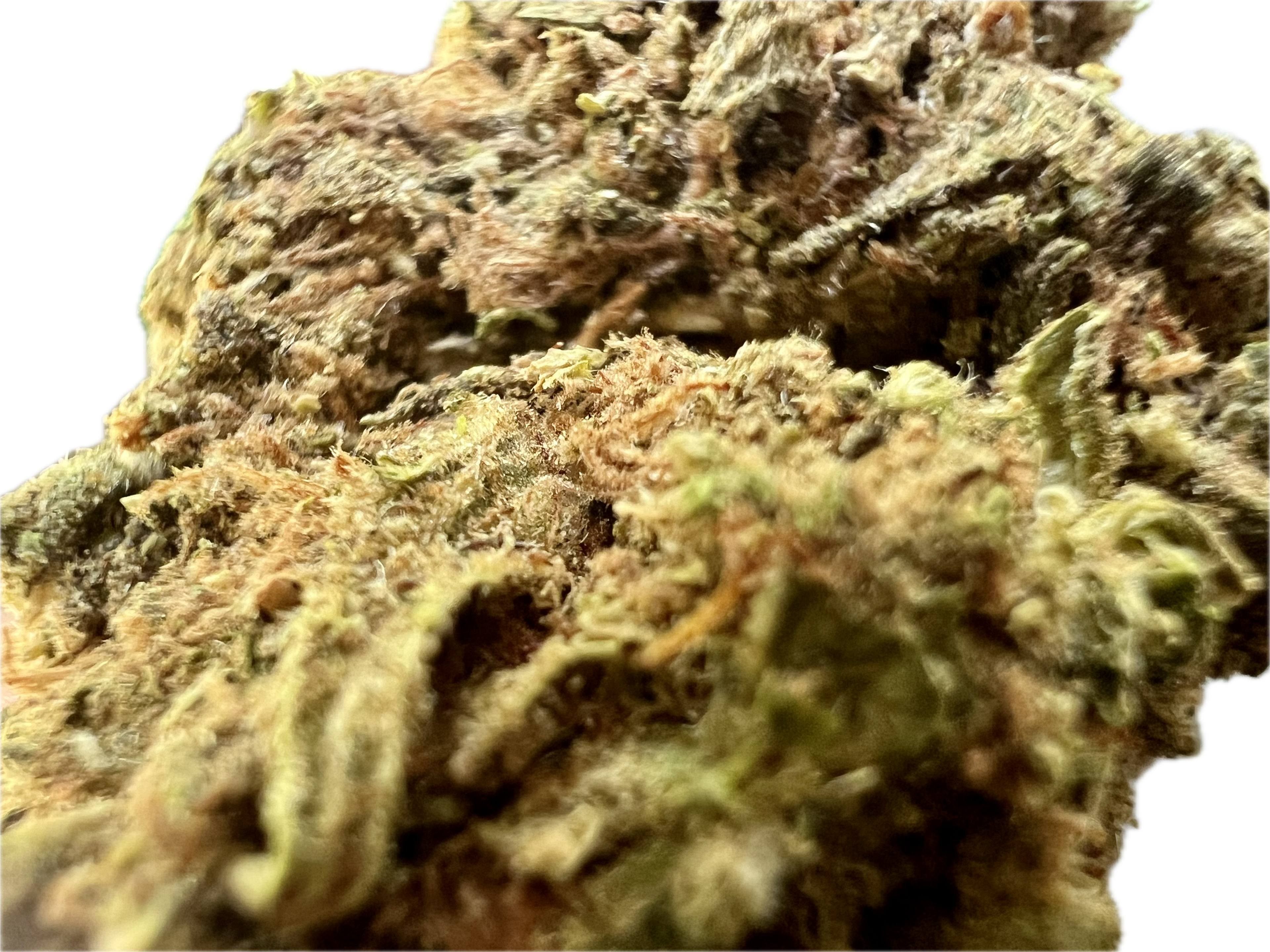 Ripkitty Runtz OG THCA Hemp Flowers