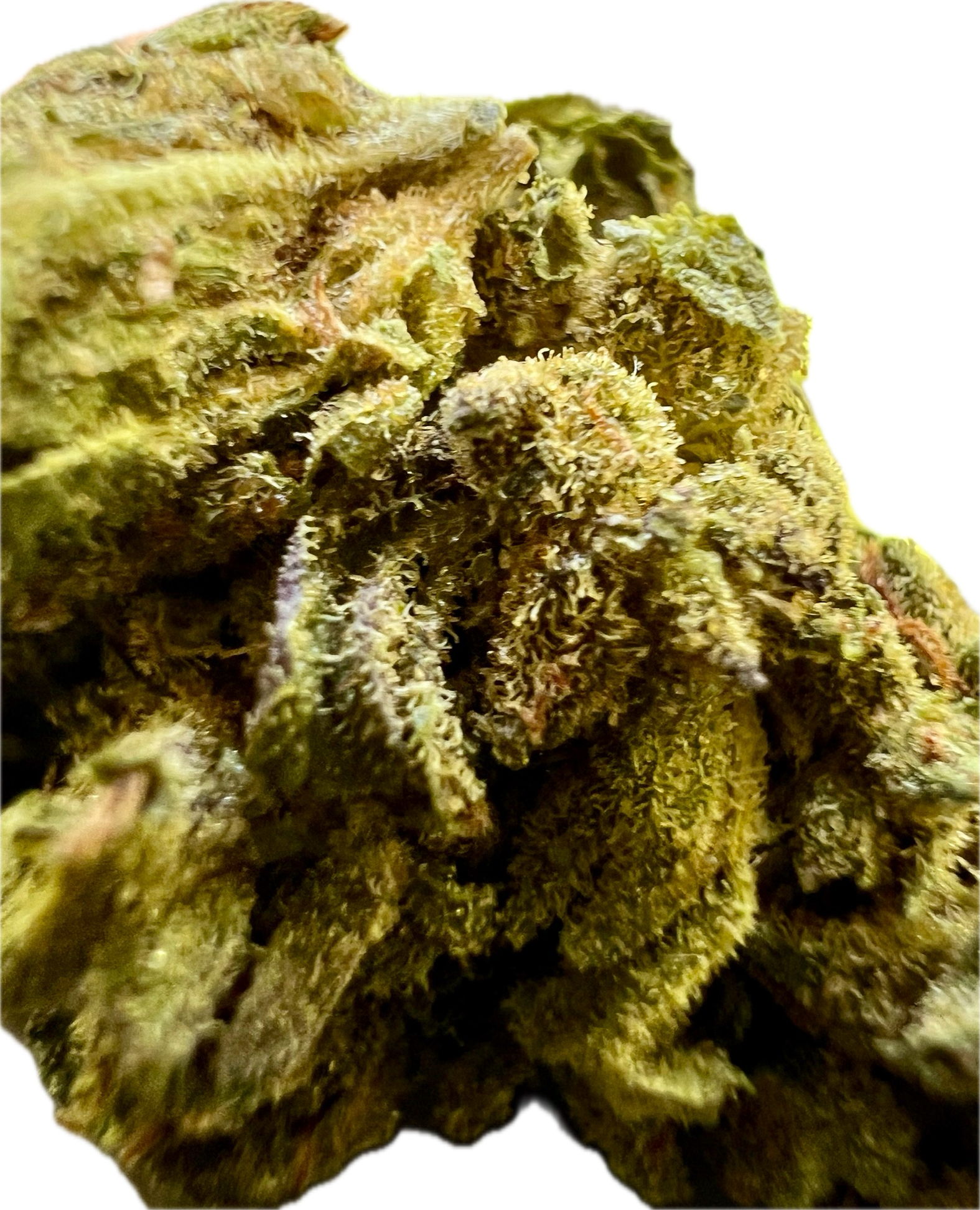 Ripkitty Mendo Breath THCA Hemp Flowers